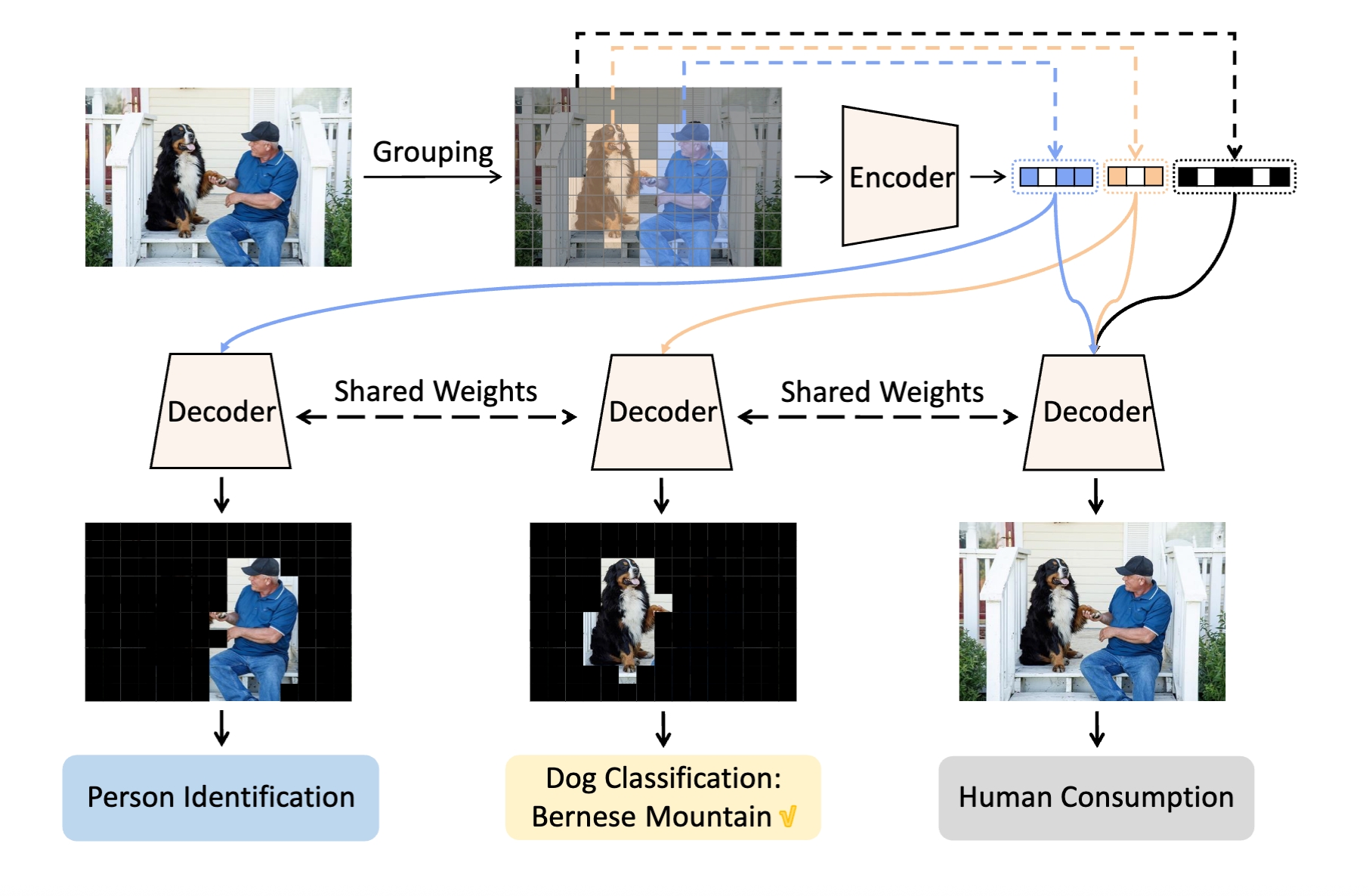 Semantically Structured Image Compression via Irregular Group-Based Decoupling